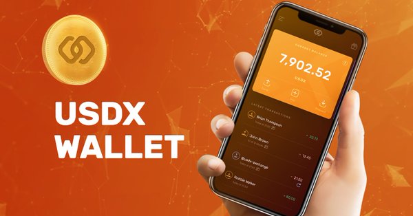 USDX Wallet Guide